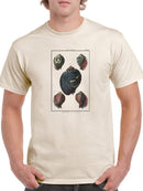 Sea Shell Vii T-shirt -Denis Diderot Designs