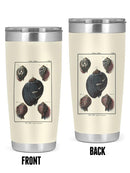 Sea Shell Vii Tumbler -Denis Diderot Designs
