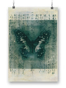Butterfly On Print Wall Art -Elena Ray Designs