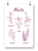 Herb Varieties. Wall Art -Ethan Harper Designs