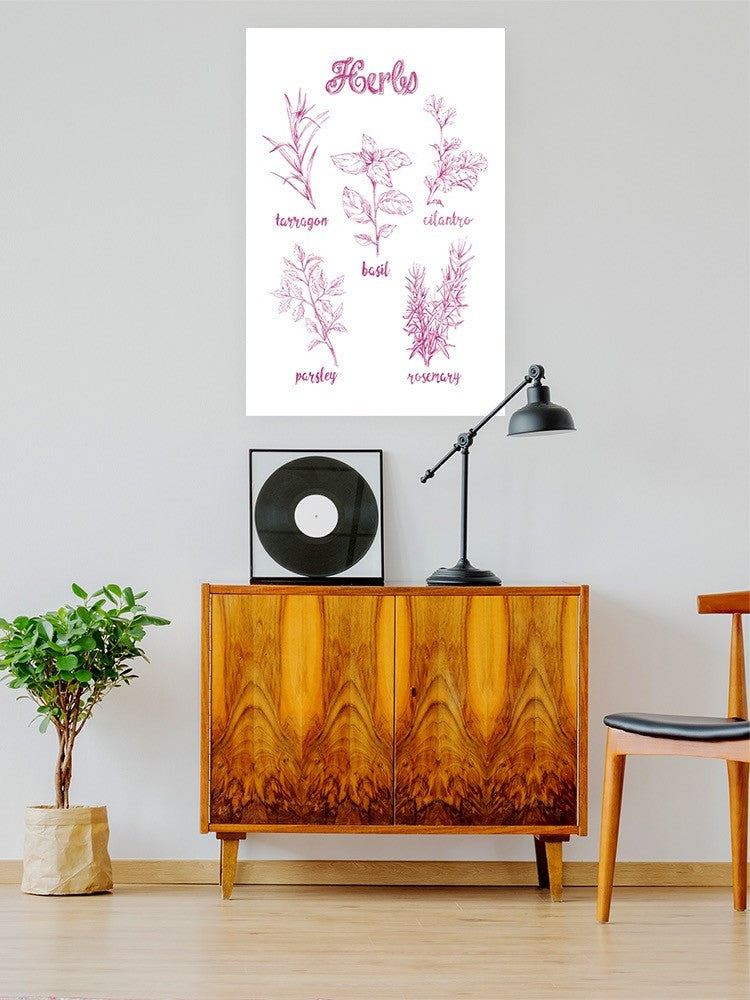 Herb Varieties. Wall Art -Ethan Harper Designs