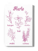Herb Varieties. Wall Art -Ethan Harper Designs