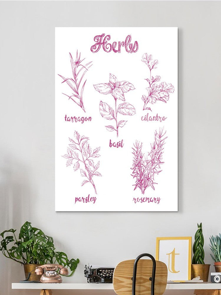 Herb Varieties. Wall Art -Ethan Harper Designs