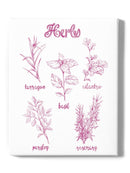 Herb Varieties. Wall Art -Ethan Harper Designs