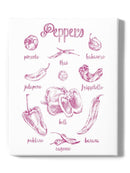 Pepper Varieties Wall Art -Ethan Harper Designs