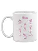 Spice Varieties Mug -Ethan Harper Designs