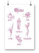 Spice Varieties Wall Art -Ethan Harper Designs