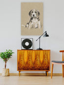 Breed Sketches. Wall Art -Ethan Harper Designs