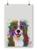 Bernese Rainbow Splash Wall Art -Fab Funky Designs
