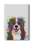 Bernese Rainbow Splash Wall Art -Fab Funky Designs