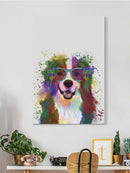Bernese Rainbow Splash Wall Art -Fab Funky Designs
