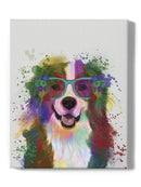 Bernese Rainbow Splash Wall Art -Fab Funky Designs