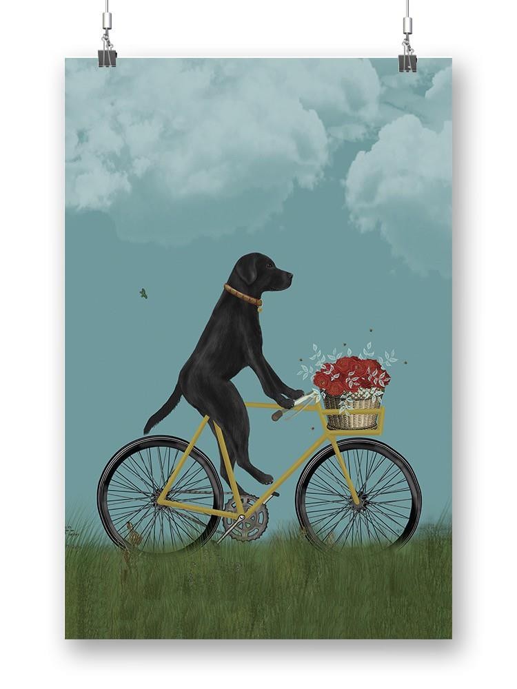 Black Labrador On A Bicycle Wall Art -Fab Funky Designs