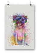 Colorful Pug Splash Art Wall Art -Fab Funky Designs