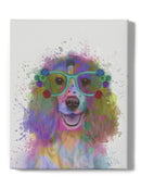 Colorful Spaniel Wall Art -Fab Funky Designs