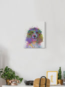 Colorful Spaniel Wall Art -Fab Funky Designs
