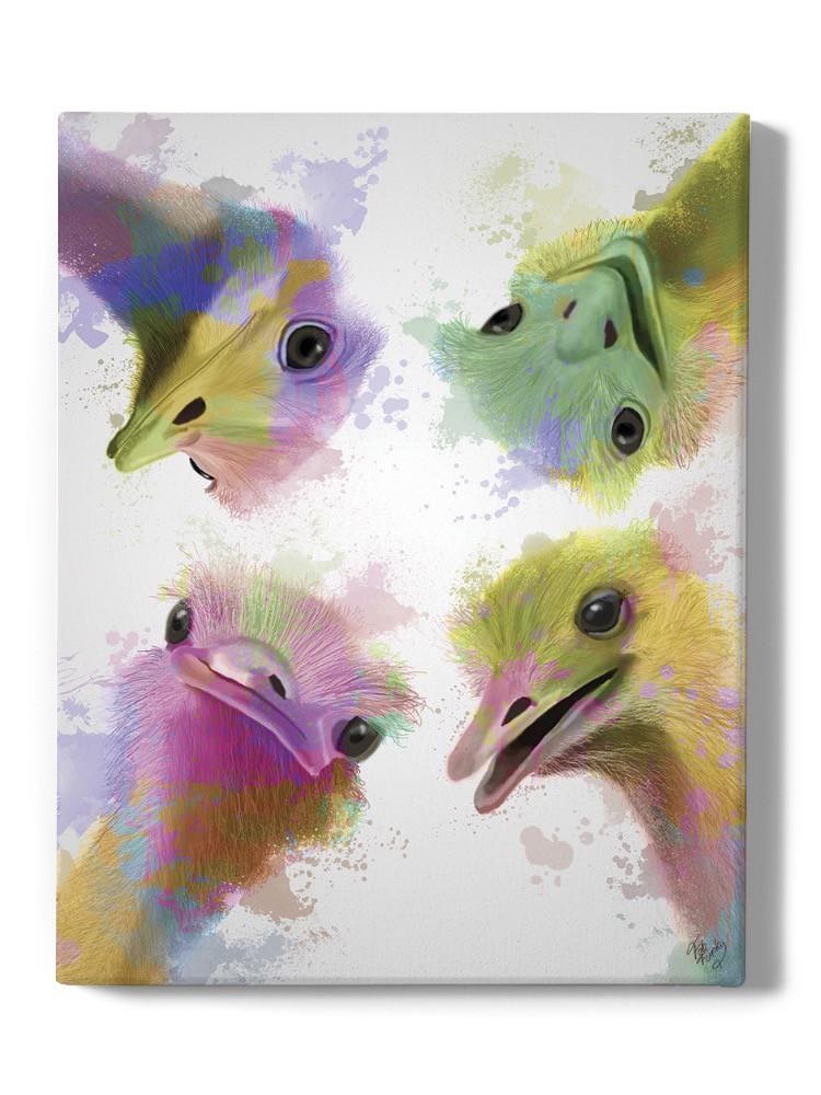 Rainbow Splash Ostriches Wall Art -Fab Funky Designs