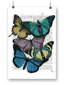 Butterflies On Paper Iv Wall Art -Fab Funky Designs