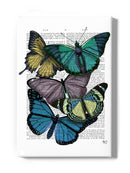 Butterflies On Paper Iv Wall Art -Fab Funky Designs
