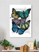 Butterflies On Paper Iv Wall Art -Fab Funky Designs