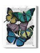 Butterflies On Paper Iv Wall Art -Fab Funky Designs