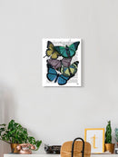 Butterflies On Paper Iv Wall Art -Fab Funky Designs