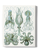 Scary Sea Creatures Wall Art -Fab Funky Designs