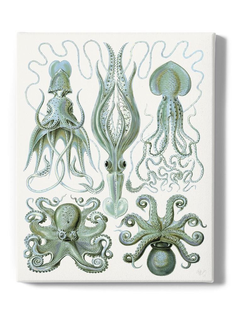 Scary Sea Creatures Wall Art -Fab Funky Designs