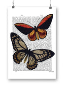 Vintage Butterflies Wall Art -Fab Funky Designs