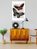 Vintage Butterflies Wall Art -Fab Funky Designs