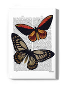 Vintage Butterflies Wall Art -Fab Funky Designs