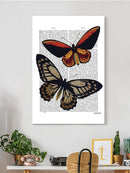 Vintage Butterflies Wall Art -Fab Funky Designs