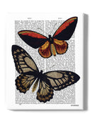 Vintage Butterflies Wall Art -Fab Funky Designs