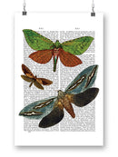Butterflies On Paper Iii. Wall Art -Fab Funky Designs