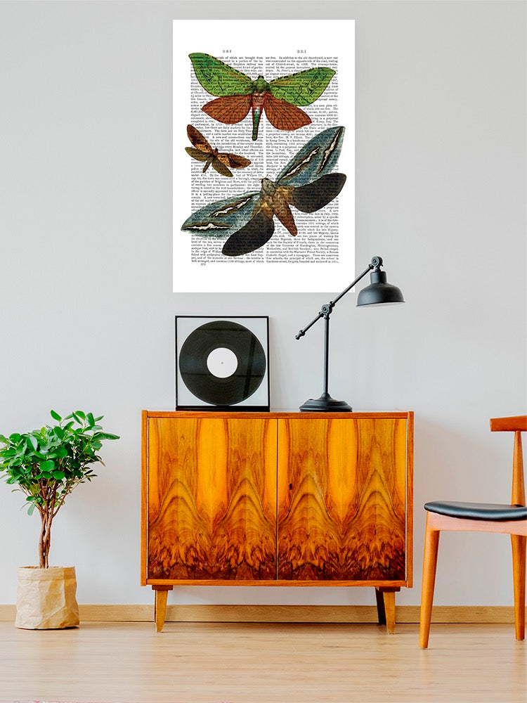 Butterflies On Paper Iii. Wall Art -Fab Funky Designs