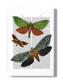 Butterflies On Paper Iii. Wall Art -Fab Funky Designs