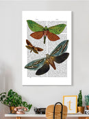 Butterflies On Paper Iii. Wall Art -Fab Funky Designs