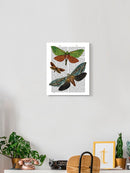 Butterflies On Paper Iii. Wall Art -Fab Funky Designs