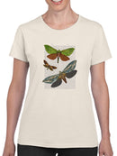 Butterflies On Paper Iii. T-shirt -Fab Funky Designs