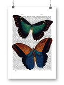 Butterflies On Paper. Wall Art -Fab Funky Designs