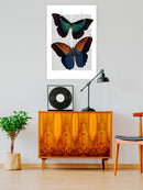 Butterflies On Paper. Wall Art -Fab Funky Designs