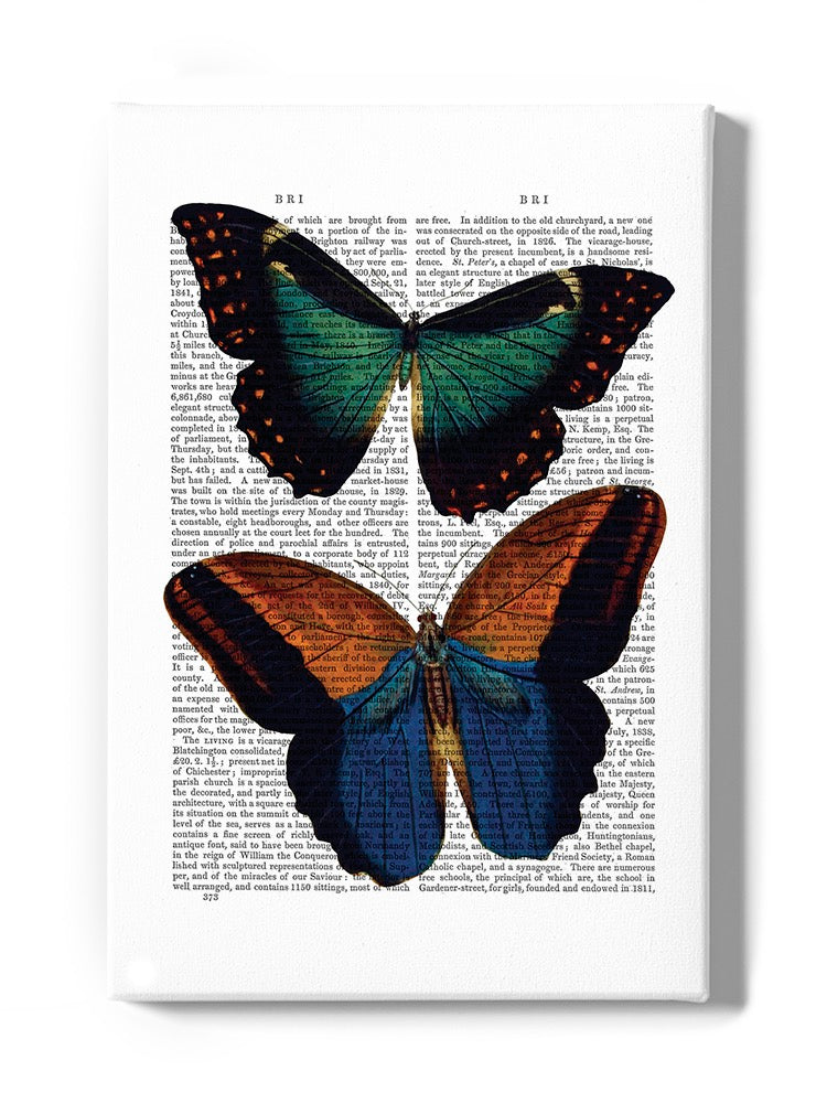 Butterflies On Paper. Wall Art -Fab Funky Designs