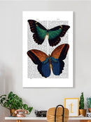 Butterflies On Paper. Wall Art -Fab Funky Designs