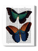 Butterflies On Paper. Wall Art -Fab Funky Designs