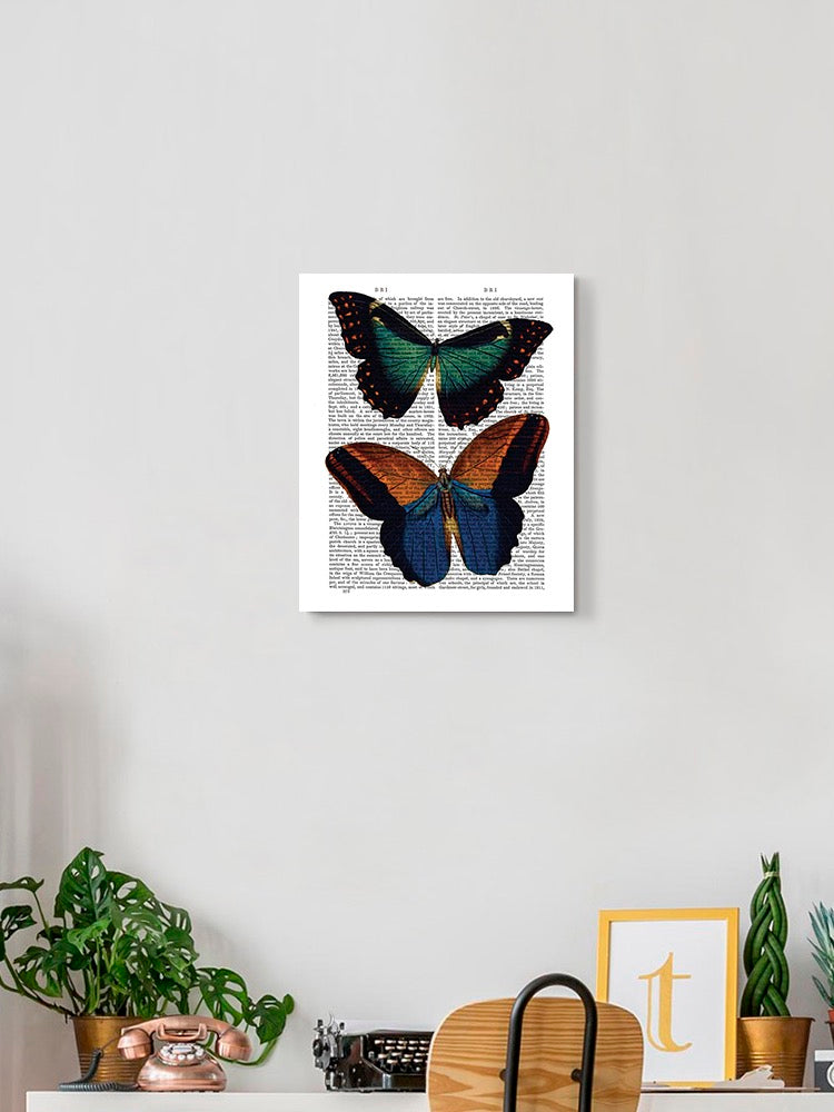 Butterflies On Paper. Wall Art -Fab Funky Designs
