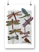 Dragonflies On Paper Wall Art -Fab Funky Designs