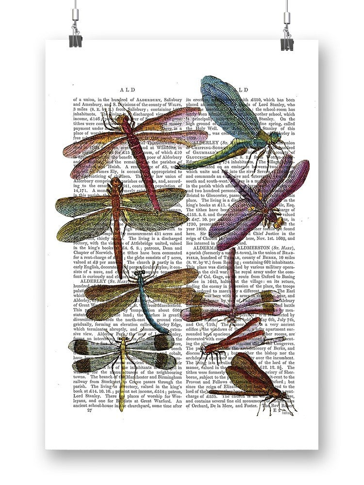 Dragonflies On Paper Wall Art -Fab Funky Designs