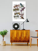 Dragonflies On Paper Wall Art -Fab Funky Designs