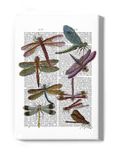 Dragonflies On Paper Wall Art -Fab Funky Designs