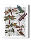 Dragonflies On Paper Wall Art -Fab Funky Designs